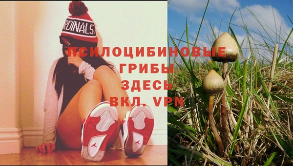 стафф Киренск