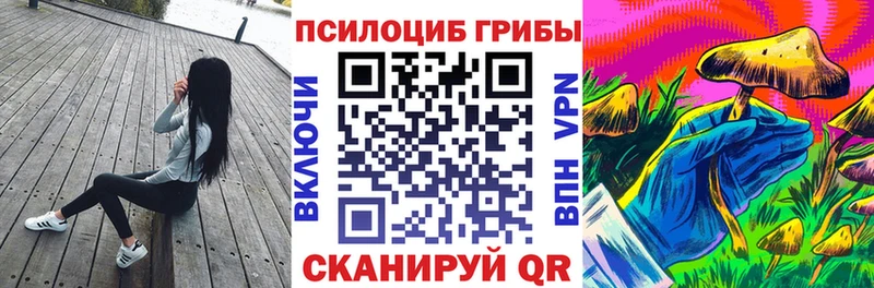 где купить наркотик  Алагир  darknet состав  Галлюциногенные грибы GOLDEN TEACHER 